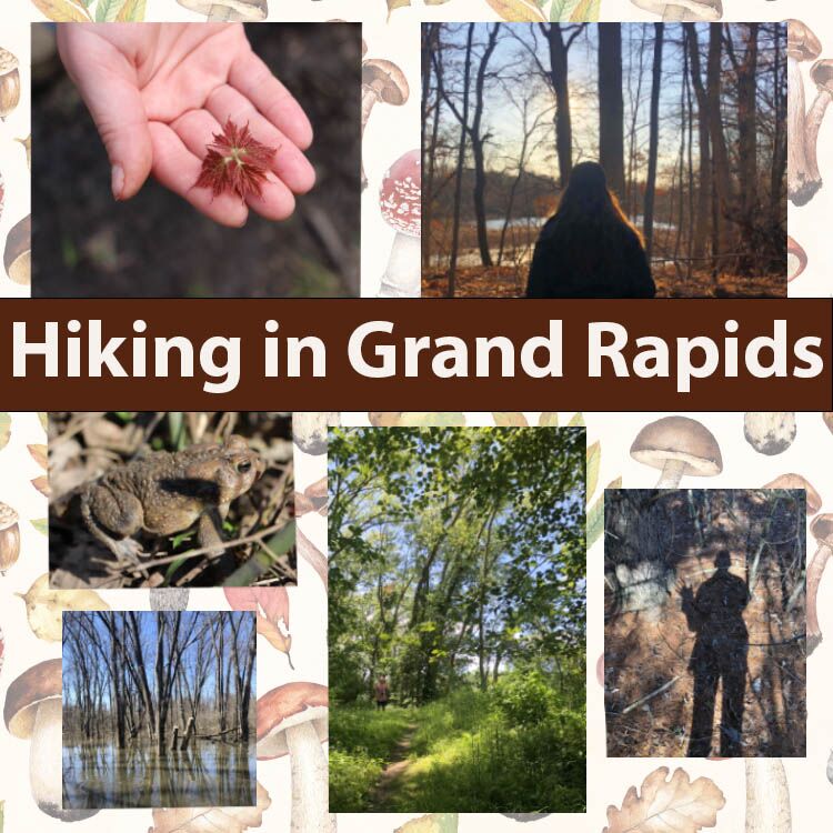 Hiking Trails Near Grand Rapids